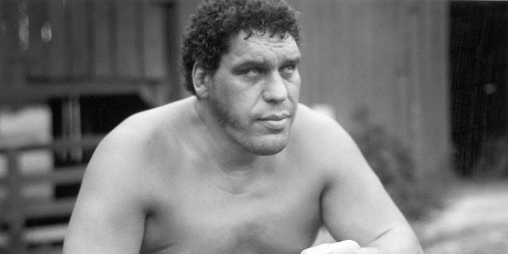 Andre The Giant Net Worth Andre The Giant