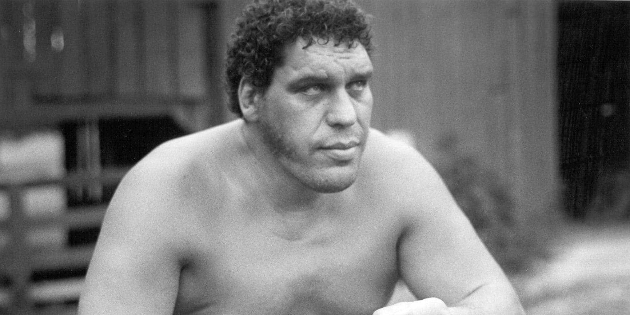 Andre The Giant Net Worth Andre The Giant